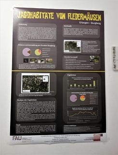 Neben vielen Infos zu den Tieren ging es bis nach Mitternacht hinaus in die Natur zu den Fledermausspaziergängen