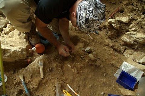 FAU Archäologen bei einer Ausgrabung in Sibirien