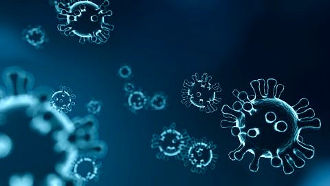 Zum Artikel "Informationen zum Coronavirus"