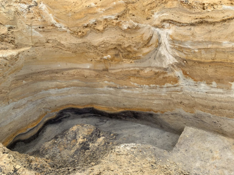 Neandertaler des Nordens – Flexible Anpassung an sich ändernde Umweltbedingungen