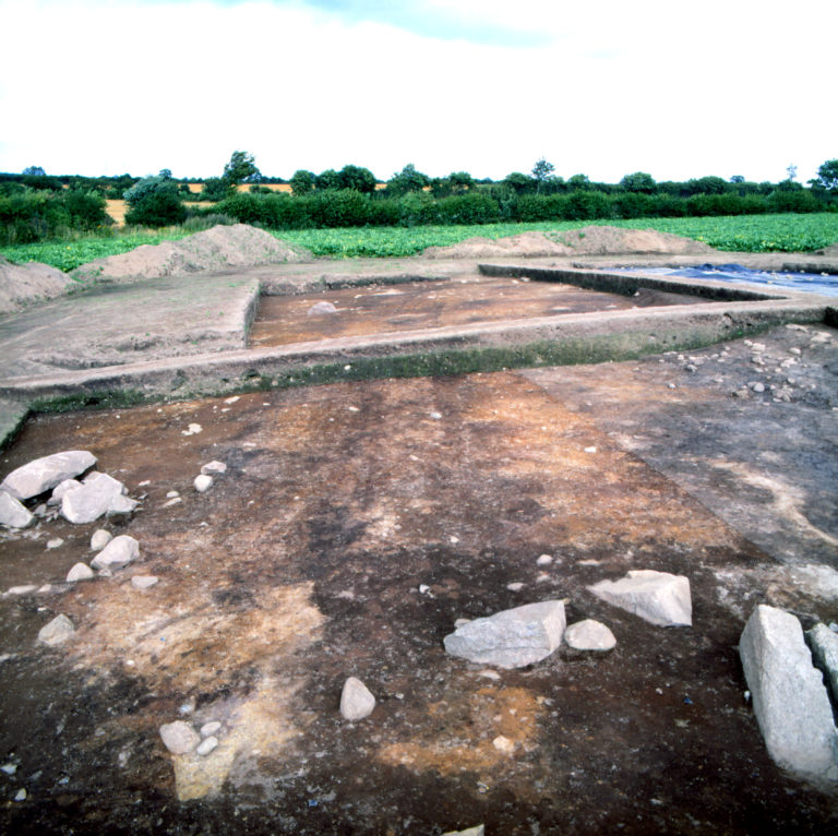 Großes Medienecho auf Habilitationsschrift zu steinzeitlichen Radspuren von Prof. Dr. Doris Mischka