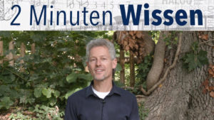 Welche Gottheit steht eigentlich hinter dem Dienstag? Das erklärt die Indogermanistik in 2 Minuten Wissen