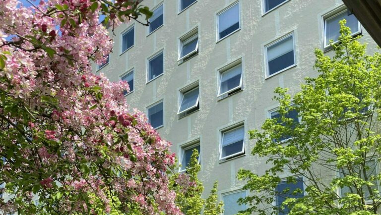 Willkommen im Sommersemester 2023