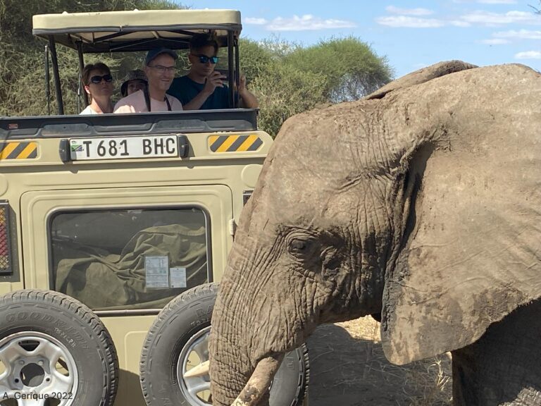 VW-Stiftung fördert Projekt unter Beteiligung der Romanischen Sprachwissenschaft