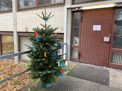 Symbolbild zum Artikel. Der Link öffnet das Bild in einer großen Anzeige.